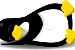 SAP MOE Finance (H/F)