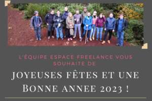 Joyeuses Fêtes !